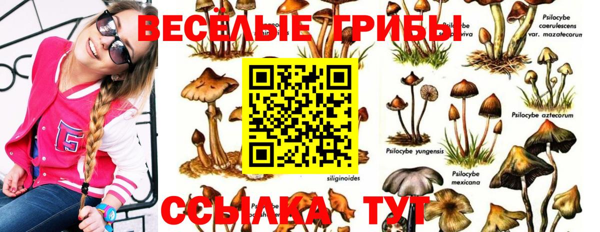 Псилоцибиновые грибы Cubensis  Вход с VPN  Галлюциногенные грибы MAGIC MUSHROOMS  Каменск-Уральский 